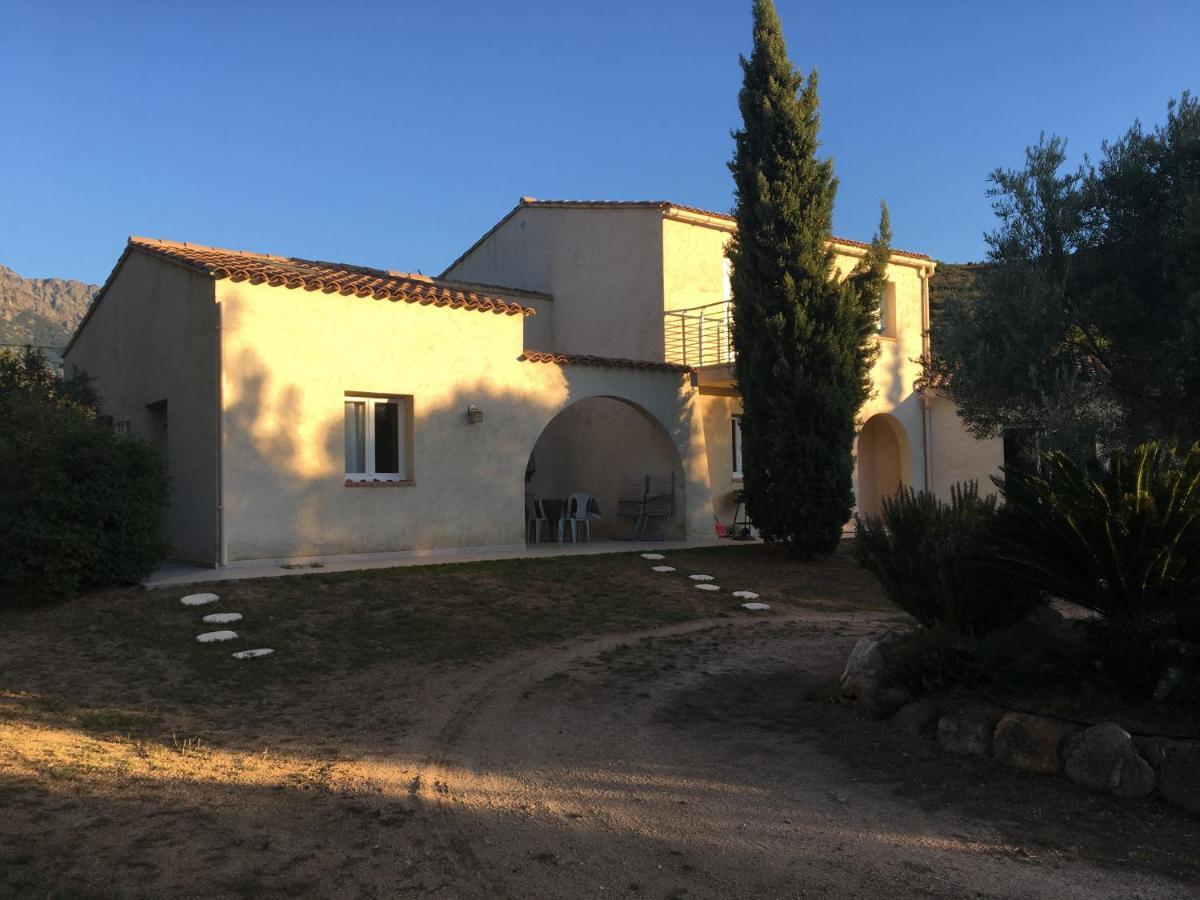 Studio Pinzali Avec Mezzanine Calenzana Εξωτερικό φωτογραφία